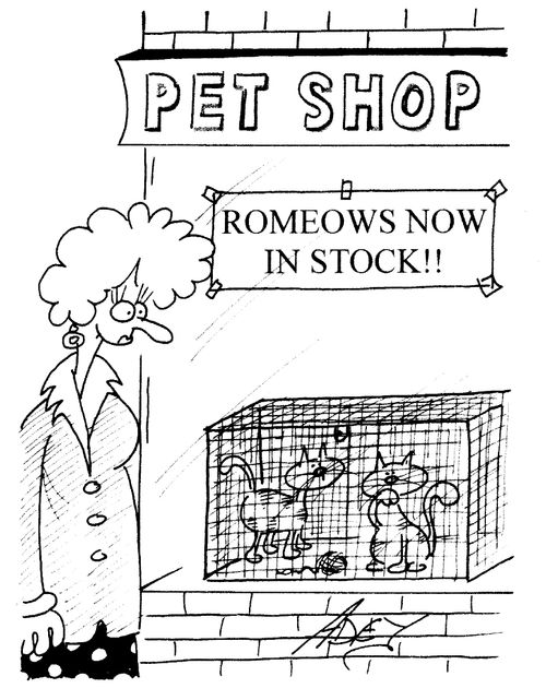 Pet shop with 'Romeows' in stock.