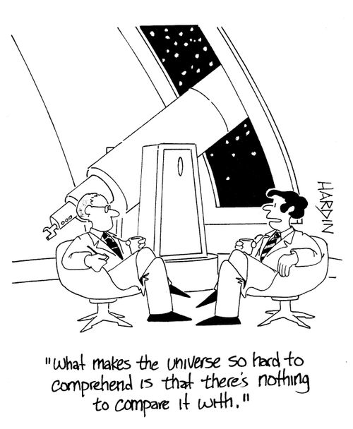 'What makes the universe so hard to comprehend is that there's nothing to compare it with.'