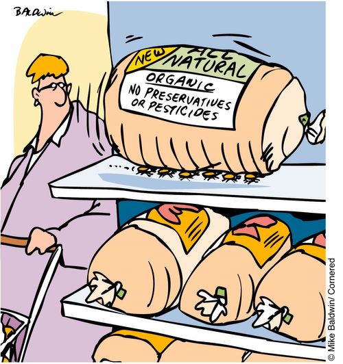 'Organic: no preservatives or pesticides'