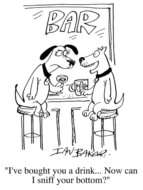 "I've bought you a drink, now can I sniff your bottom?"