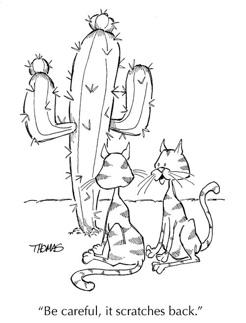 "Be careful, it scratches back."