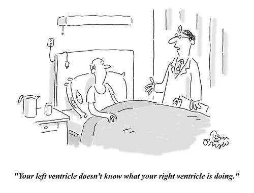 'Your left ventricle doesn't know what your right ventricle is doing.'
