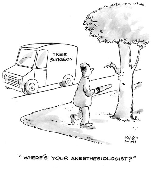 Tree asking tree surgeon where his anesthesiologist is.