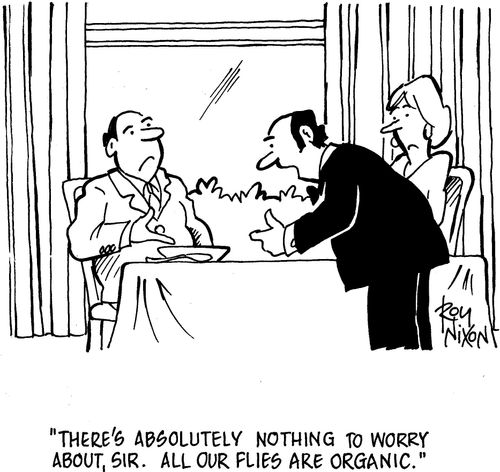 'There's absolutely nothing to worry about,sir. All our flies are organic.'