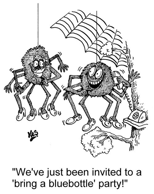 'We've just been invited to a 'bring a bluebottle' party!'