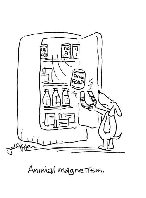 Animal magnetism.