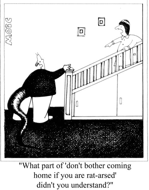 'What part of 'don't bother coming home if you are rat-arsed' didn't you understand?'