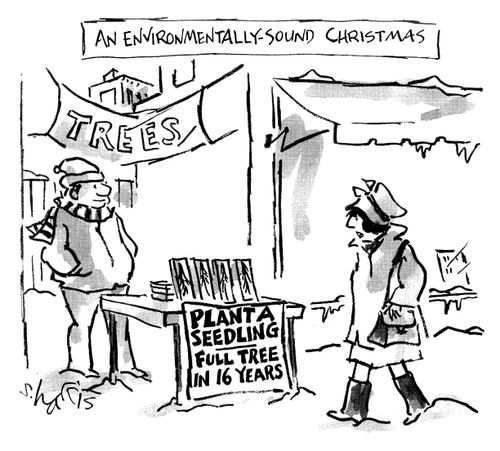 An environmentally sound Christmas - Plant a Seedling - Full tree in 16 years.
