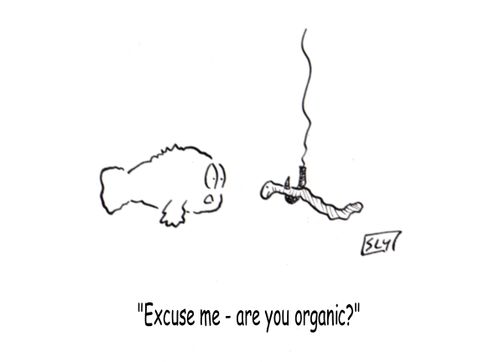 'Excuse me - are you organic?'