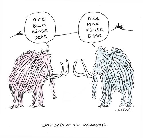 'Last days of the mammoths.'