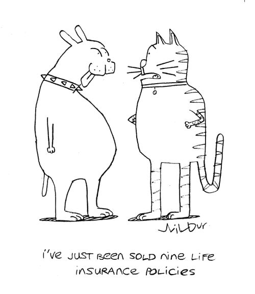 'I've just been sold nine life insurance policies.'