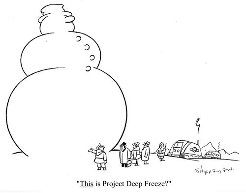 'This is Project Deep Freeze?'