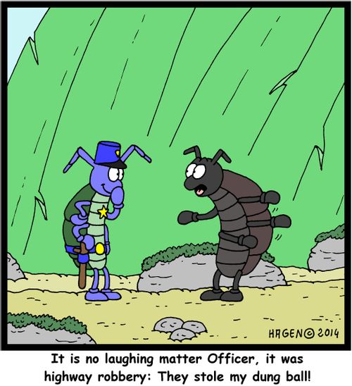 'It is no laughing matter Officer, it was highway robbery: They stole my dung ball!'
