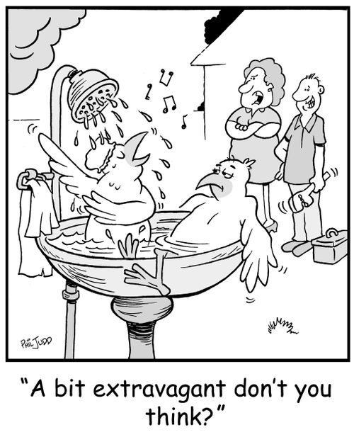 'A bit extravagant don't you think you think?'