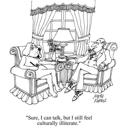 'Sure, I can talk, but I still feel culturally illiterate.'