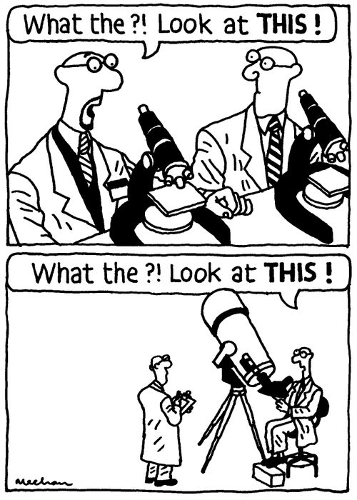 'What the?! Look at THIS!'