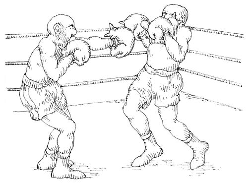 101 uses of a dead cat: boxing gloves