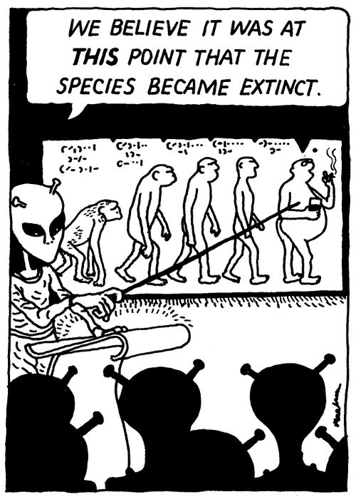 'We believe it was at THIS point that the species became extinct.'