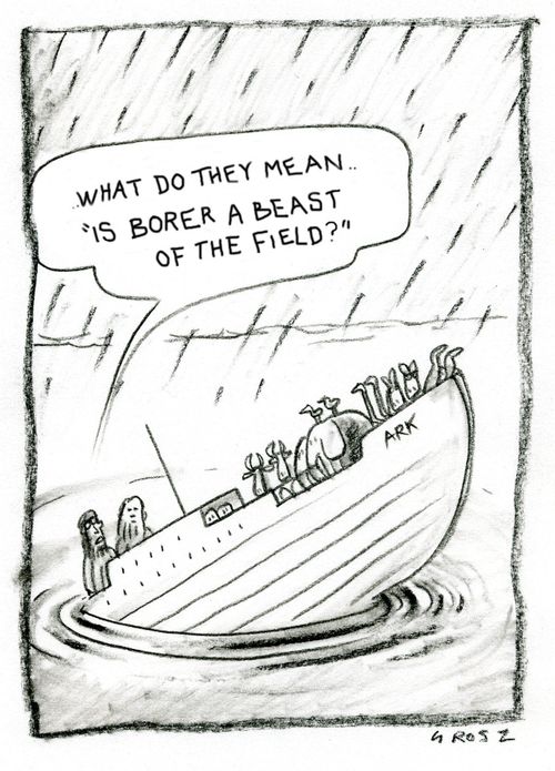 'What do they mean 'is borer a beast of the field'?'