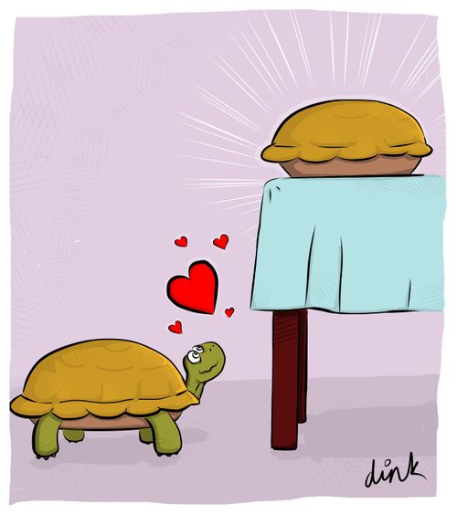 Tortoise in love at first sight.