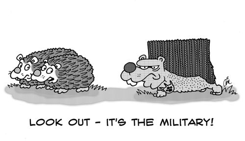 Military style hedgehog