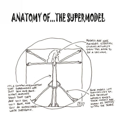 Anatomy of a supermodel.