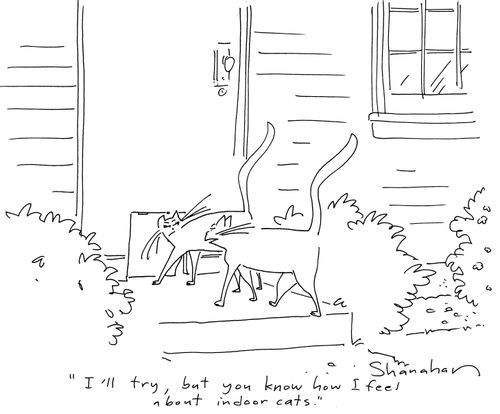 'I'll try, but you know how I feel about indoor cats.'