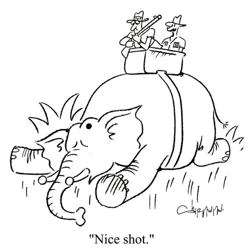 'Nice shot.'