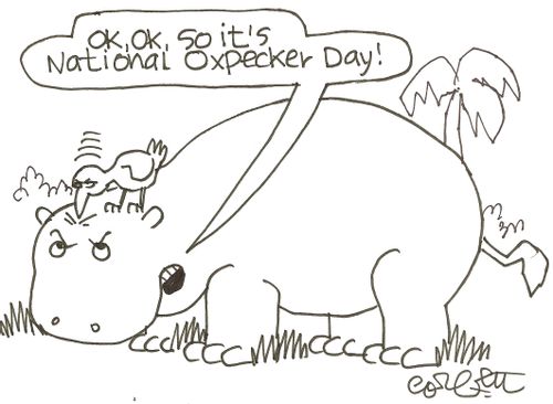 'Ok, ok, so it's National Oxpecker Day!'