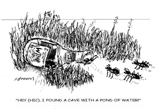 'Hey (hic), I found a cave with a pond of water!'