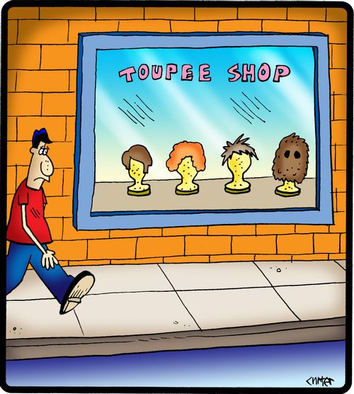 Toupee shop showcases hairy head covering.