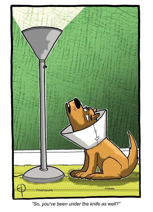 'So, you've been under the knife as well?'