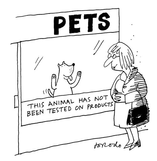 Pets: This animal has not been tested on products.