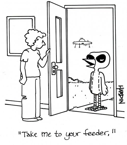 'Take me to your feeder.'