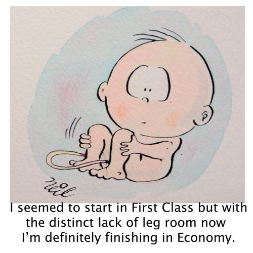 'I seemed to start in First Class but with the distinct lack of leg room I'm definitely finishing in Economy.'