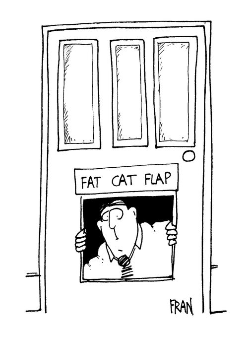 Fat Cat Flap