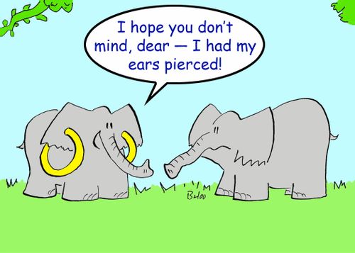 'I hope you don't mind, dear -- I got my ears pierced.'