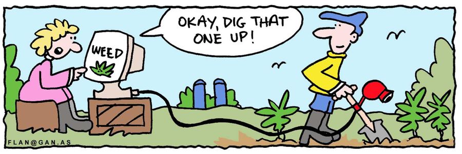 Okay, dig that one up!