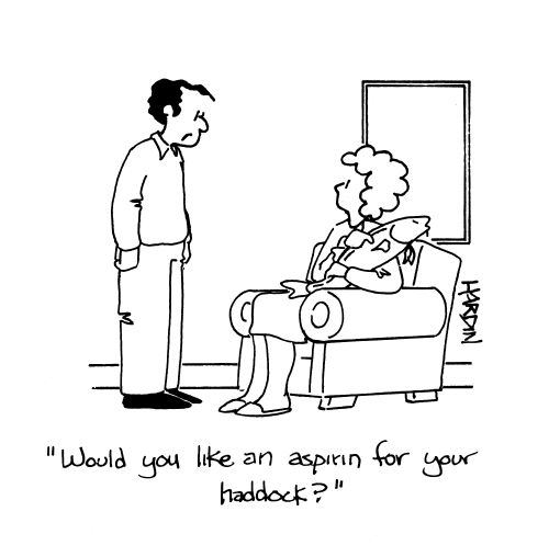 'Would you like an aspirin for your haddock?'