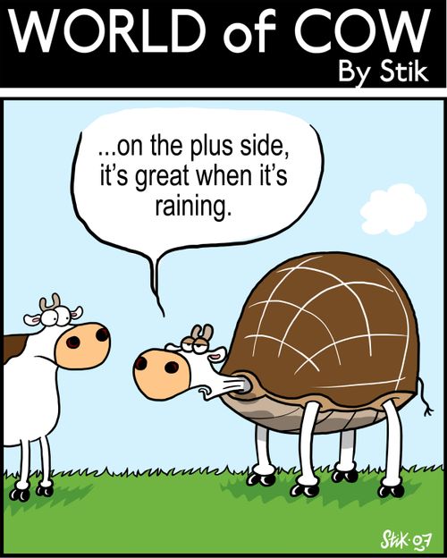 ...on the plus side, it's great when it's raining.