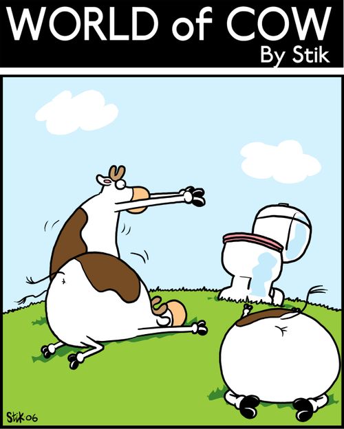 Cows worshipping a toilet.