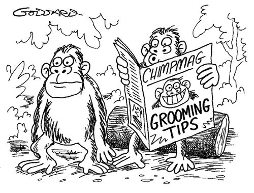 Grooming Tips