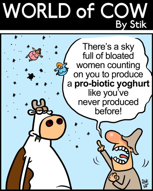 There's a sky full of bloated women counting on you to produce a pro-biotic yoghurt like you've never produced before!