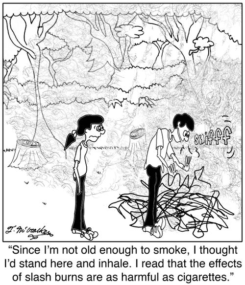 'Since I'm not old enough to smoke, I thought I'd stand here and inhale. I read that the effects of slash burns are as harmful as cigarettes.'