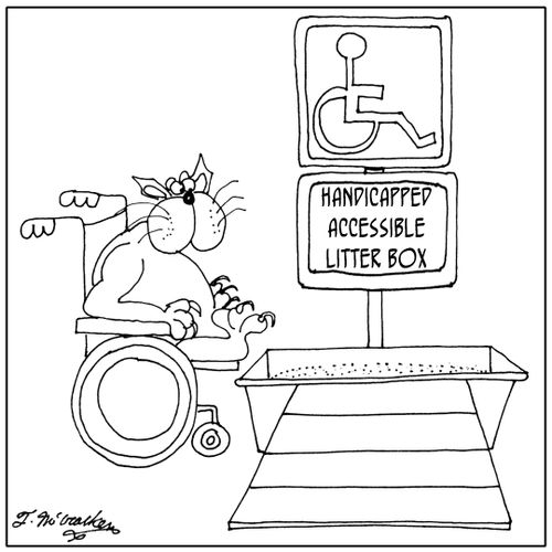 Handicapped Accessible Litter Box.