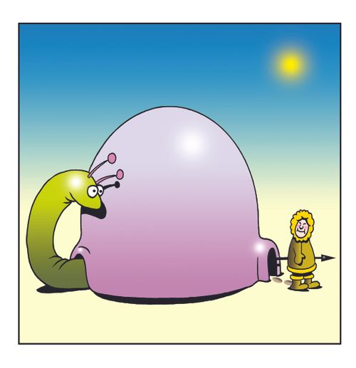 Igloo snail.