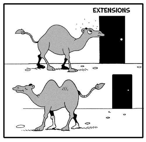 Camel Extensions.