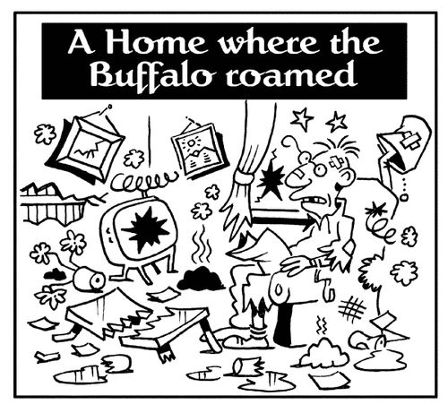A home where the buffalo roamed.