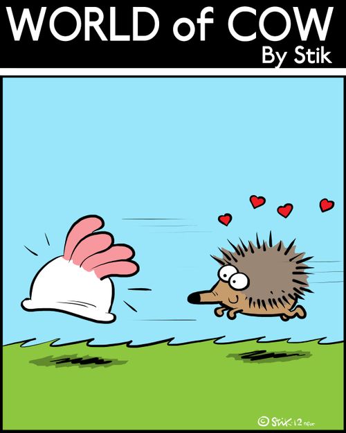 Hedgehog love