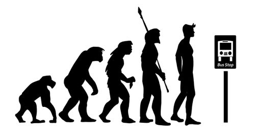Bus Stop Evolution